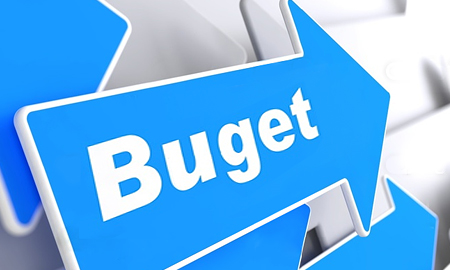 Buget